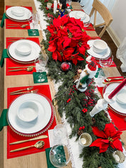 Home for the Holidays